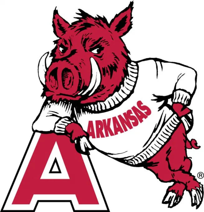 Auburn Tigers vs. Arkansas Razorbacks